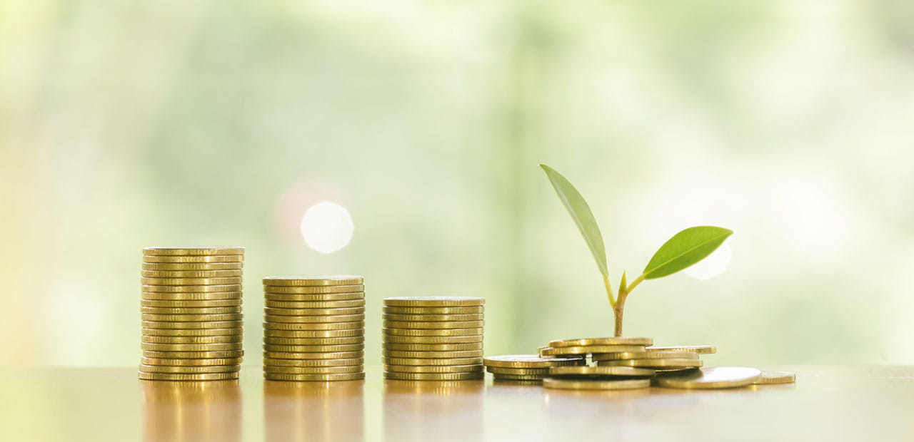 Three stacks of coins, a small plant growing from a pile of coins.
